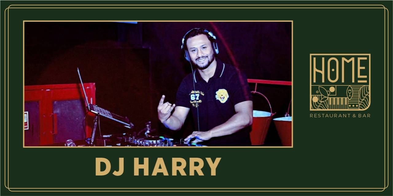 DJ Harry performing live with vibrant crowd and ambient lighting